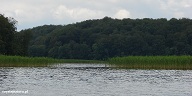 jezioro drawsko