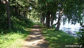 jezioro Szarcz - ścieżka leśna