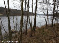 Jezioro Ciborskie, marzec 2015