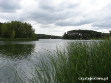Południowa część jeziora Koronowskiego przy m.Samociążek