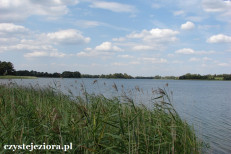 Jezioro Ostrowickie, sierpień 2015