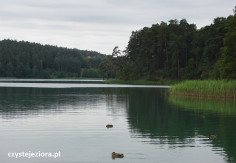 Jezioro Zbiczno, lipiec 2016