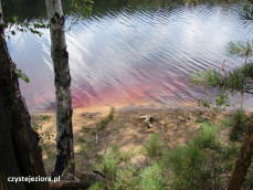 Czerwony kolor wody w jednym z jezior Parku Mużakowskiego