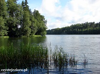 jezioro węgorzyno