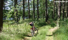 Ścieżka rowerowa jezioro Bielsko