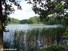 Jezioro Mierzyńskie, czerwiec 2015
