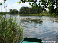 Jezioro Winnogórskie, czerwiec 2015