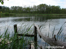 Kładka wędkarska nad jeziorem Winnogórskim, czerwiec 2015