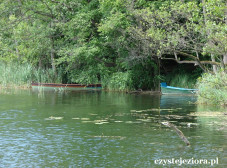 Łódki wędkarskie na jeziorze Winnogórskim, czerwiec 2015
