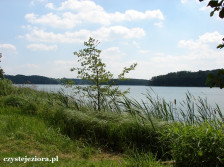 Jezioro Ławickie, czerwiec 2015