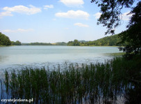 jezioro Rekowo, sierpień 2014