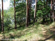 Droga leśna obok jeziora Kłosowskiego