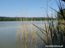 Jezioro Kłosowskie, czerwiec 2015