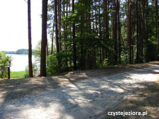 Ścieżka leśna nad jeziorem Krosino