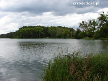 Jezioro Koronowskie (Samociążek)