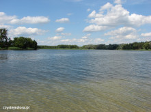 Jezioro Ślesińskie, czerwiec 2016
