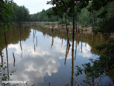 Park Mużakowski, jedno z kwaśnych jezior