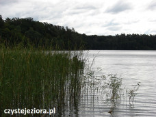Jezioro Żur, wędkowanie