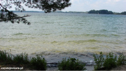 Jezioro Lubikowskie, piaszczyste i łagodne zejście na głębszą wodę